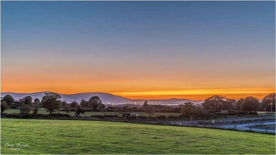 Heathery Hill Belfast Exterior foto